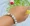 Strengthen Memory and Pain & Stress Relief Bracelet (Howlite) - Abhimantrit & Certified