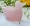 Rose Quartz Swan (Pack Of 2) - Abhimantrit & Certified