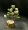 Green Jade Mini Tree (5cm) - Abhimantrit