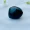 shaligram-stone-2cm-abhimantrit