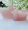 Rose Quartz Swan Love (Pack Of 2) - Abhimantrit & Certified