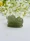 green-aventurine-nandi-7cm-abhimantrit